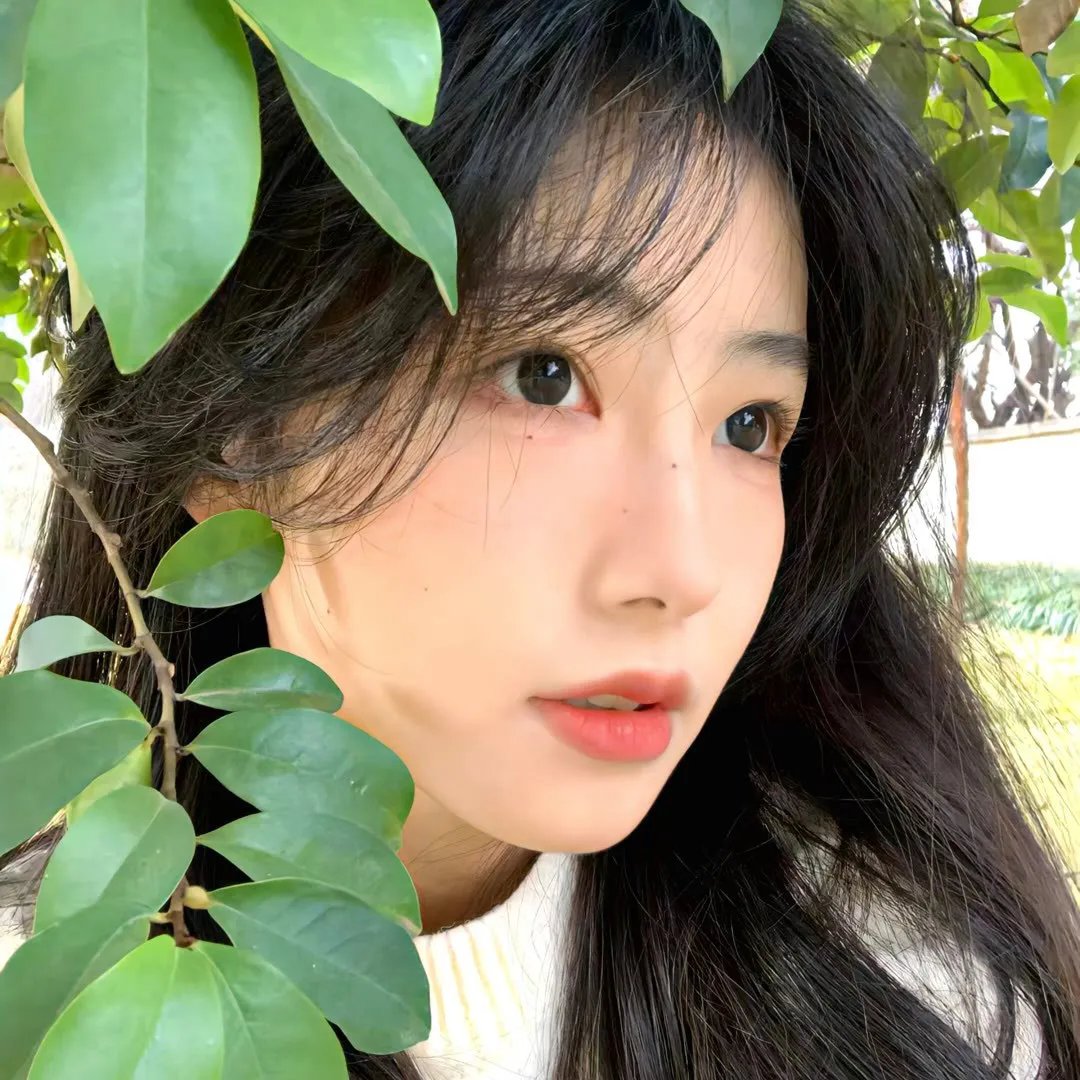 爱情不归路